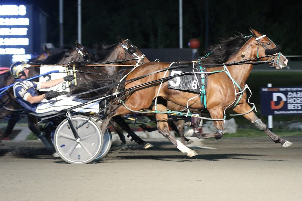 Goudawon and Bob McClure scored a 40-1 upset in Friday's OSS Gold. (New Image Media)