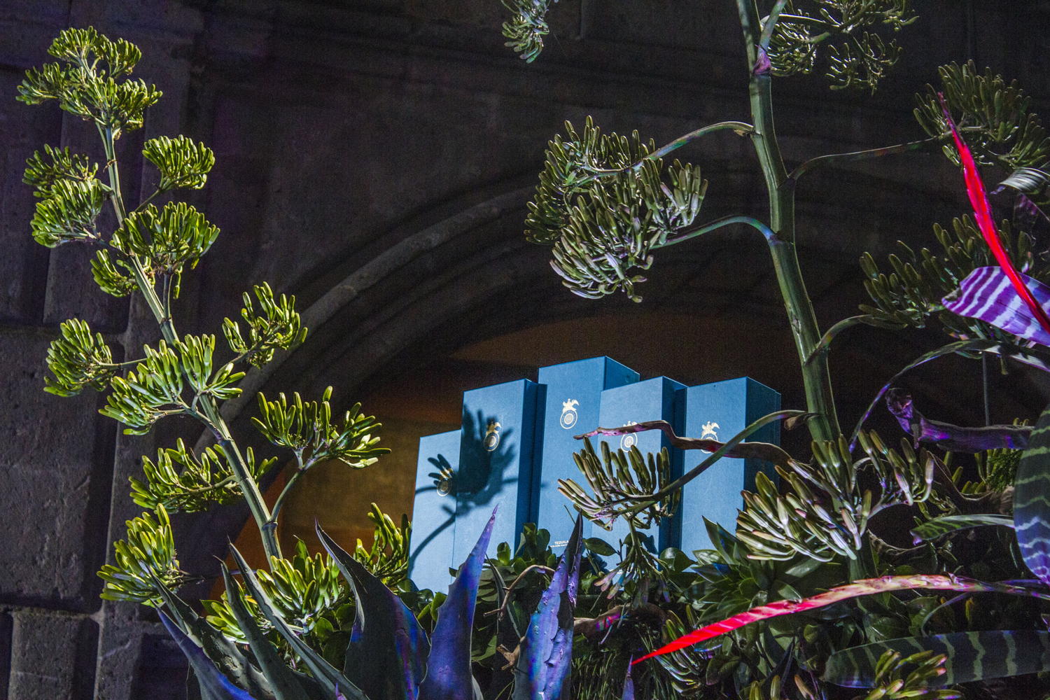 Latin America's 50 Best Restaurants
