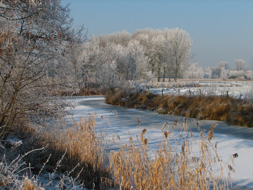 Natuurgebied Kalkense Meersen Laarne