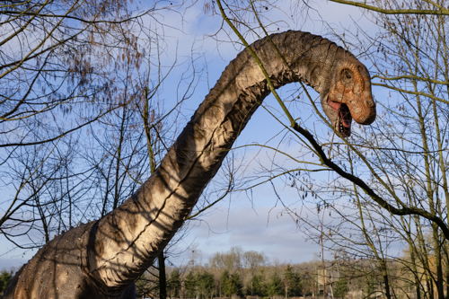 Wintonotitan