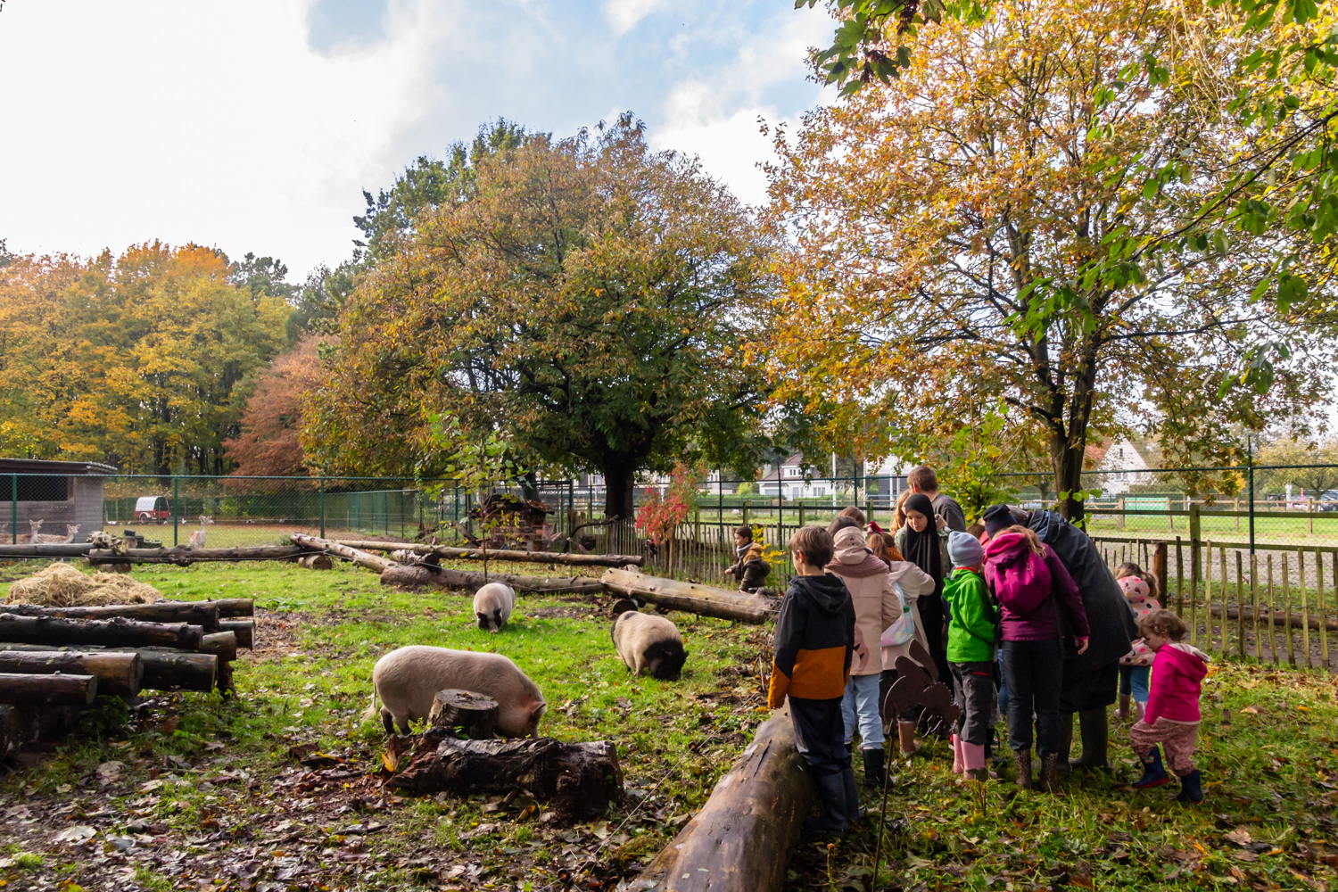 De Ster - beestige rondleiding dierenpark