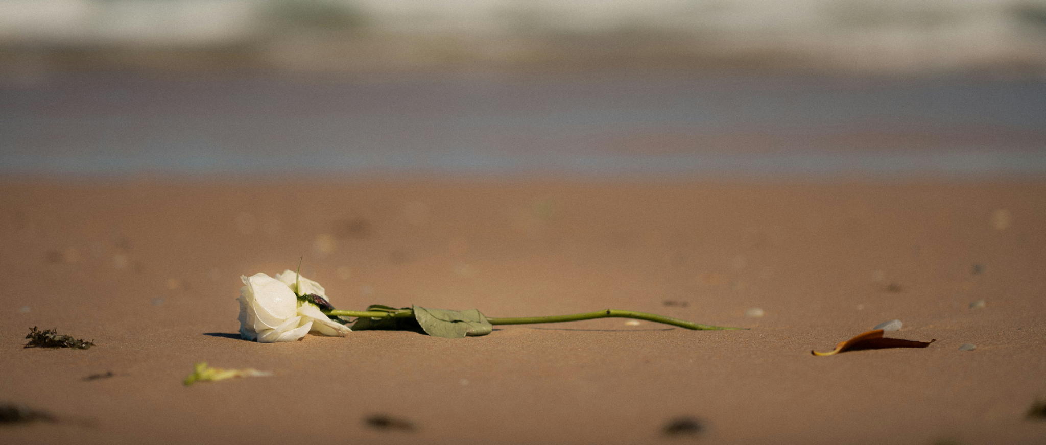 Noordzee steeds populairder als laatste rustplaats: helft meer asneerlatingen op zee in vijf jaar tijd