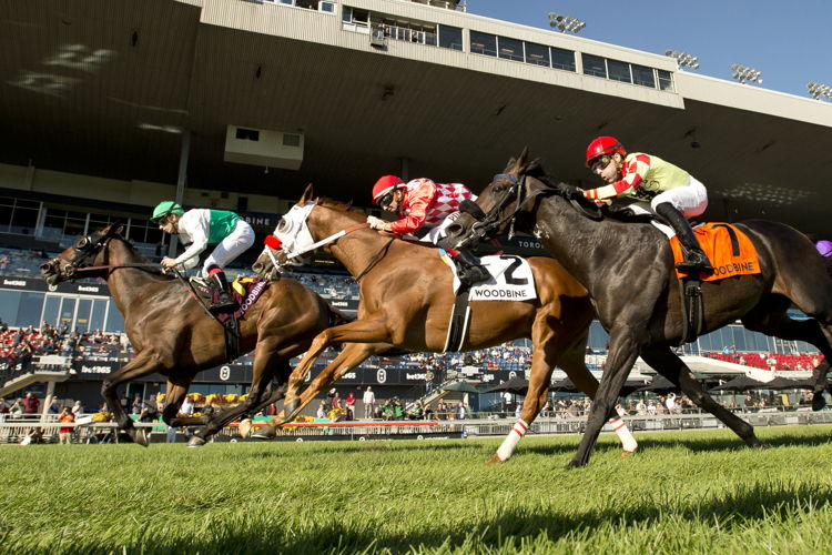 Truly Quality and jockey Vincent Cheminaud winning the HPIbet Singspiel Stakes (G3) on October 5, 2024 at Woodbine (Michael Burns Photo)