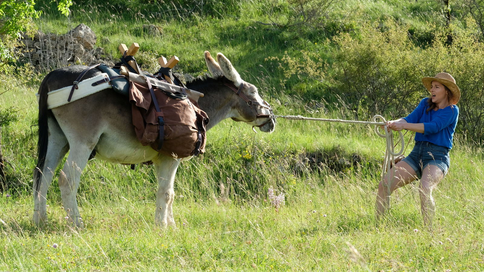 MY DONKEY, MY LOVER AND I MY DONKEY, MY LOVER AND I