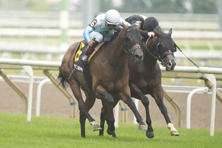 Lucky Score and jockey Sahin Civaci winning the Highlander Stakes on July 1, 2023 at Woodbine (Michael Burns Photo)