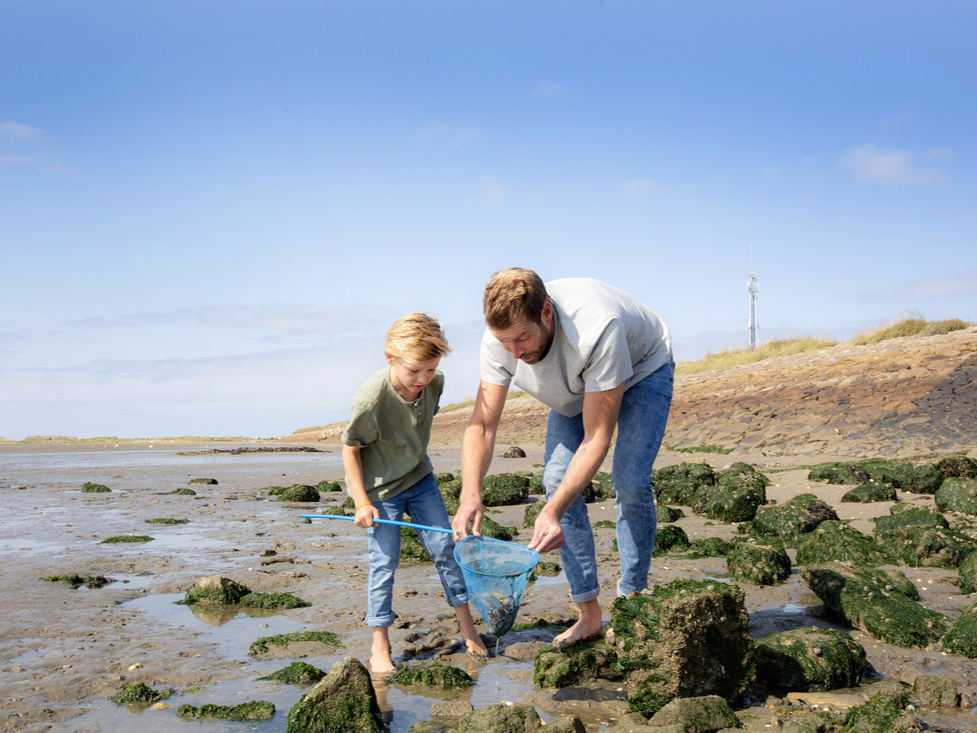 Culinair genieten aan de Nederlandse kust