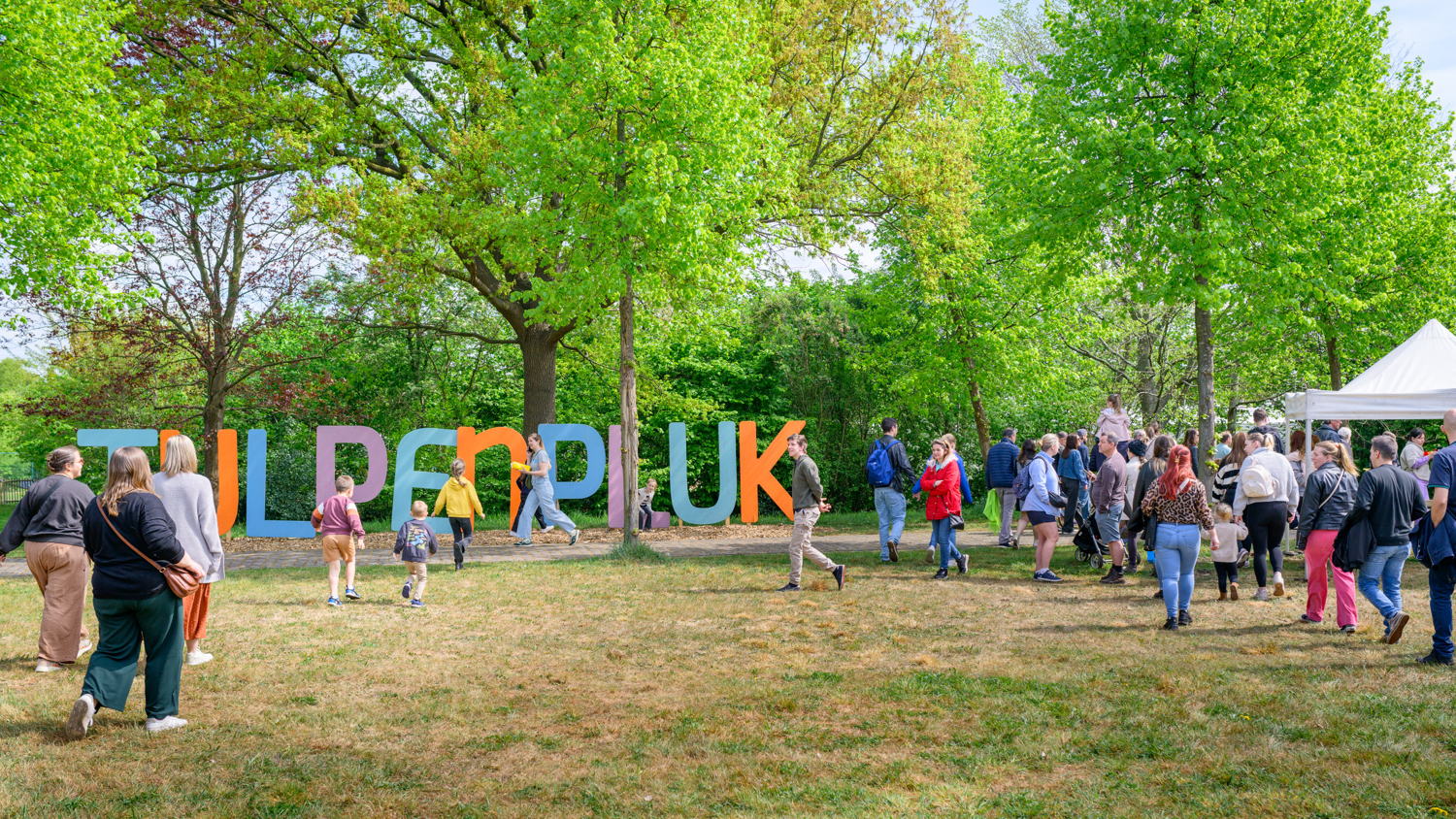 Tulpenpluk 2025, foto Wim Hadermann