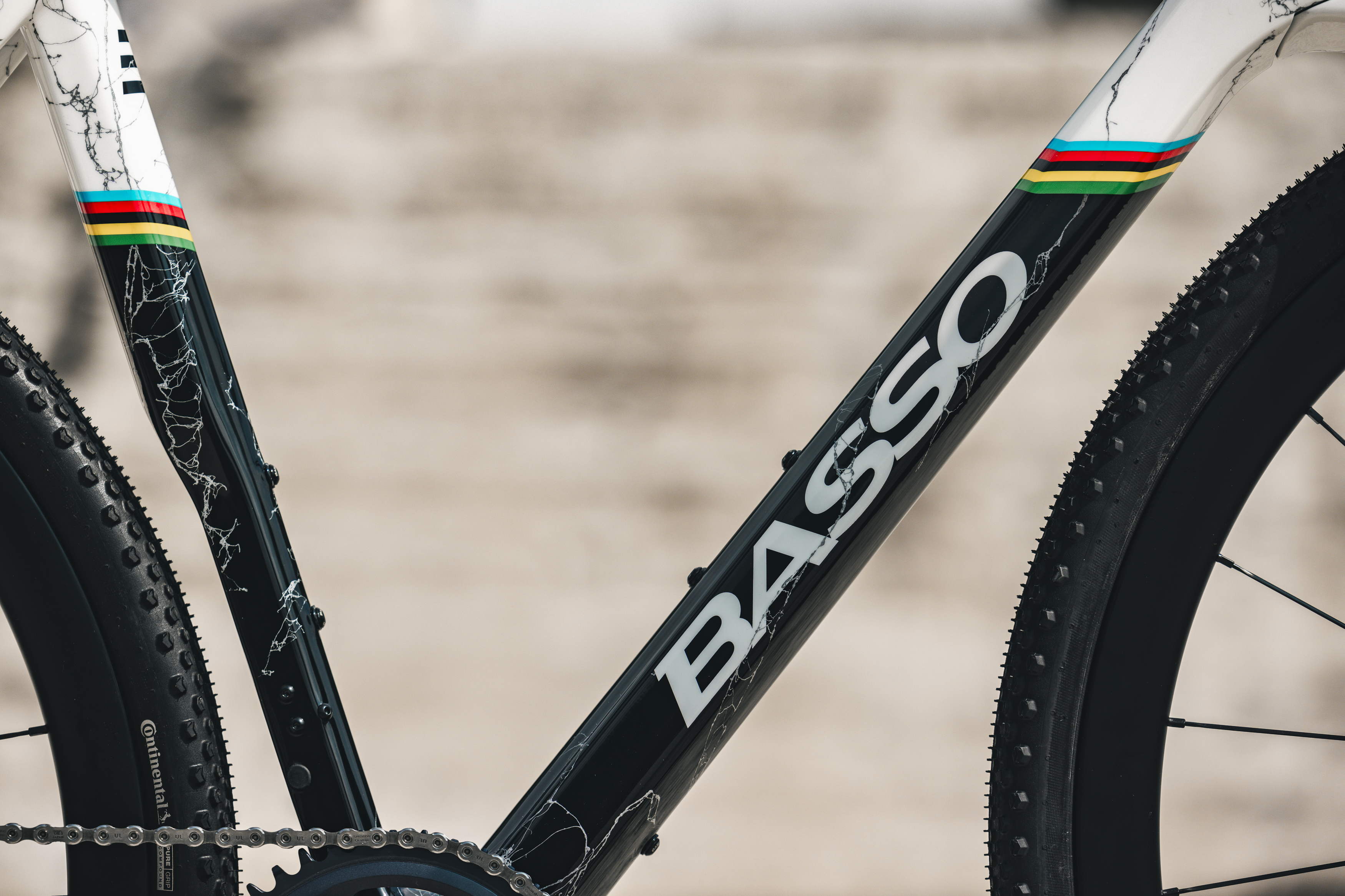 Basso Palta World Champion Edition