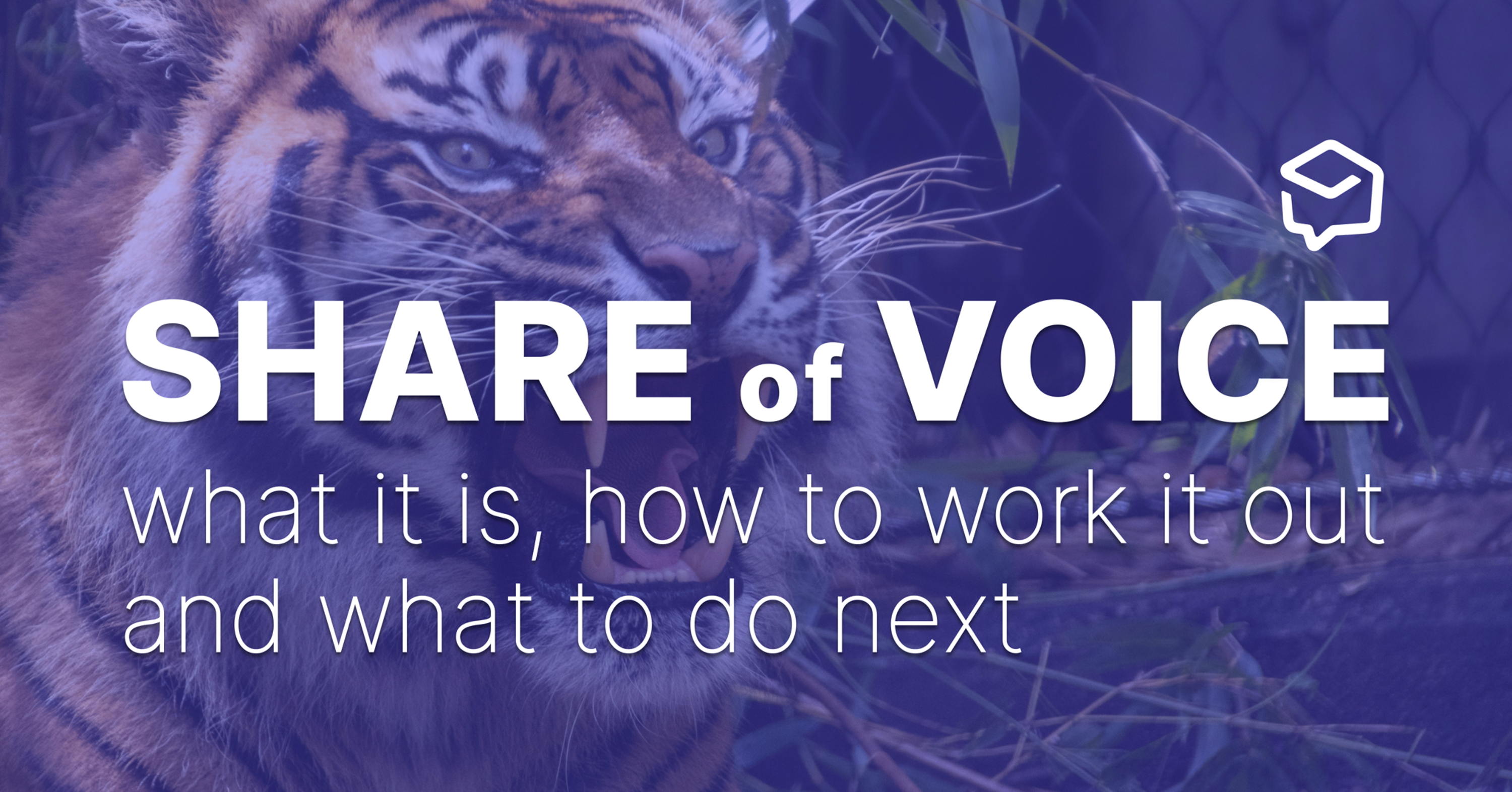 Calculate Share of Voice: How to & Use Cases