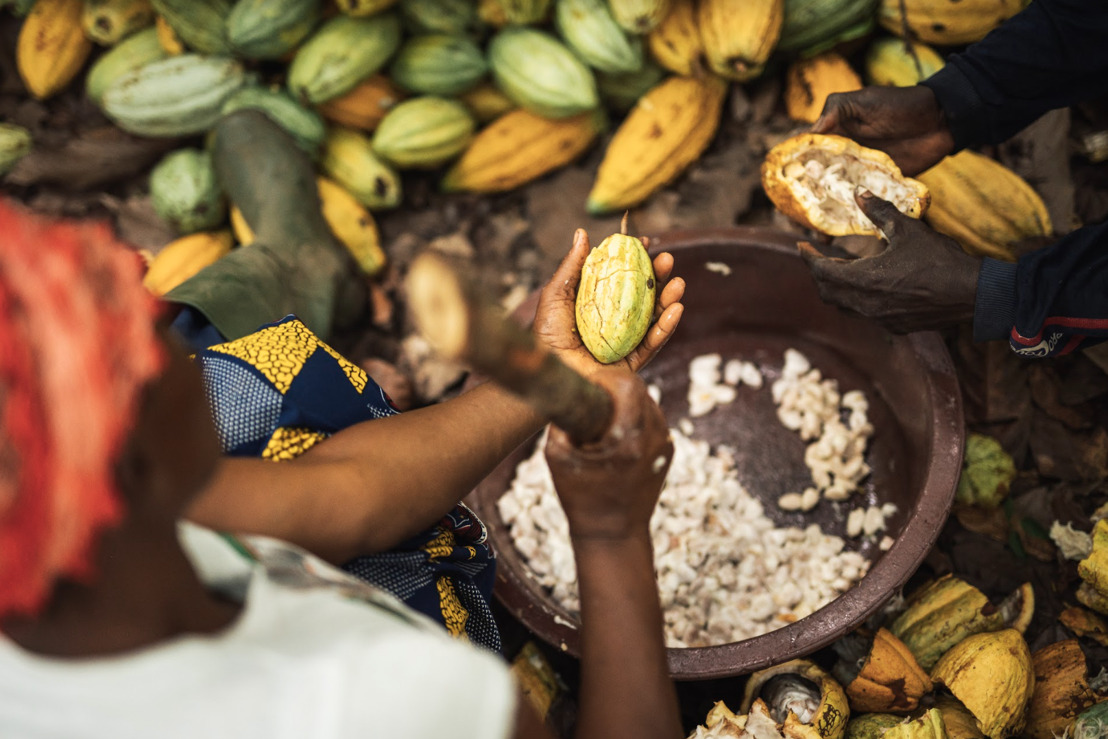 Guylian s'engage pour un monde durable et fait le switch en 100% de cacao fairtrade