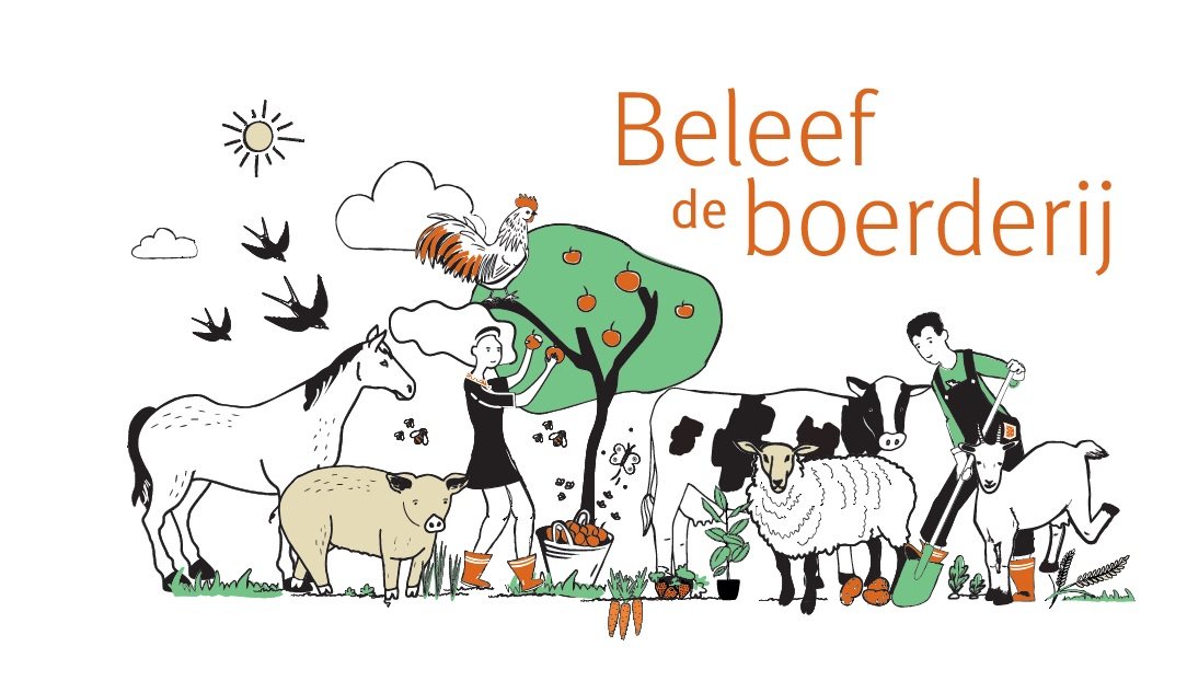 campagnebeeld