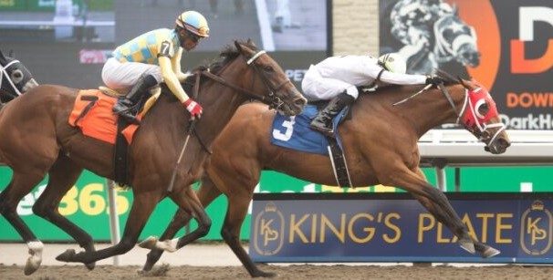 Strega and jockey Kazushi Kimura winning Race 5 on August 20, 2023 at Woodbine (Michael Burns Photo)