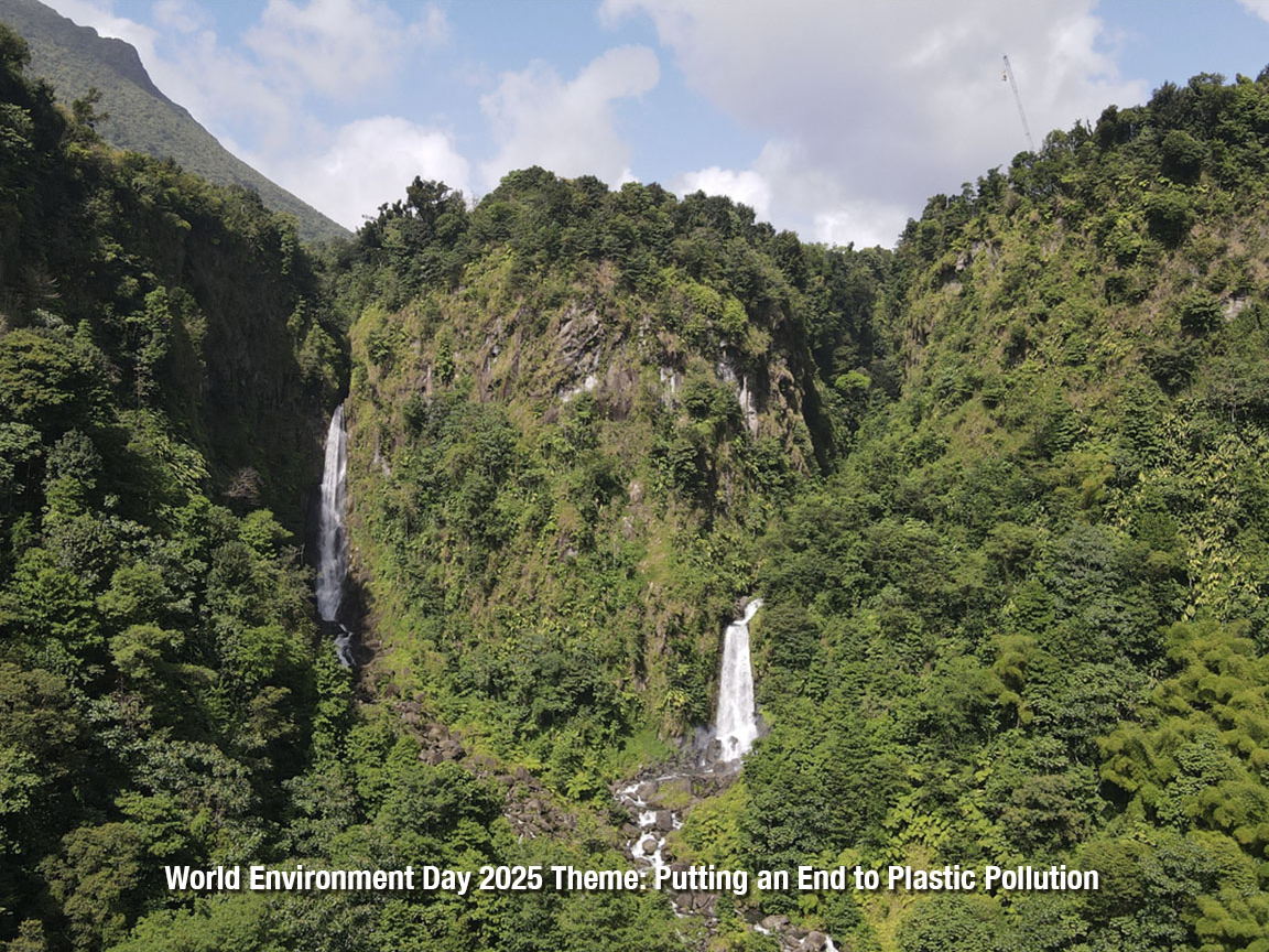 OECS Marks World Environment Day with Renewed Commitment to Protecting Our Shared Future 