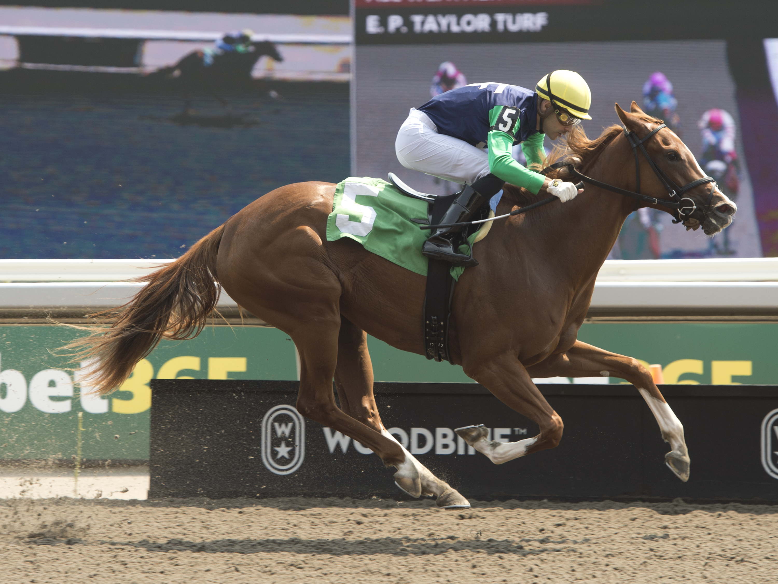 Sipping History and Pageant Queen enter the Victorian Queen Stakes era