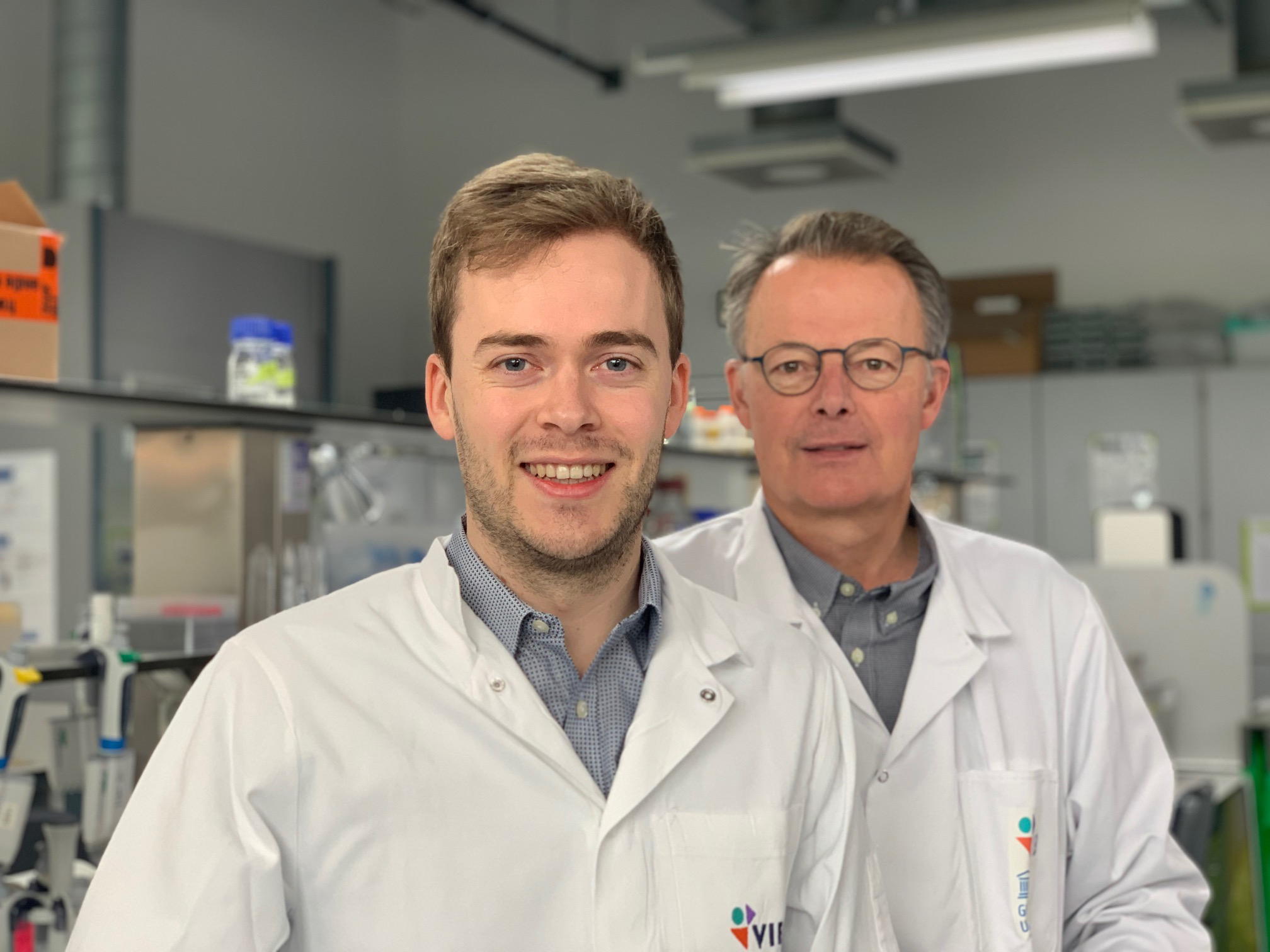 Immune system causes lung damage in COVID patients