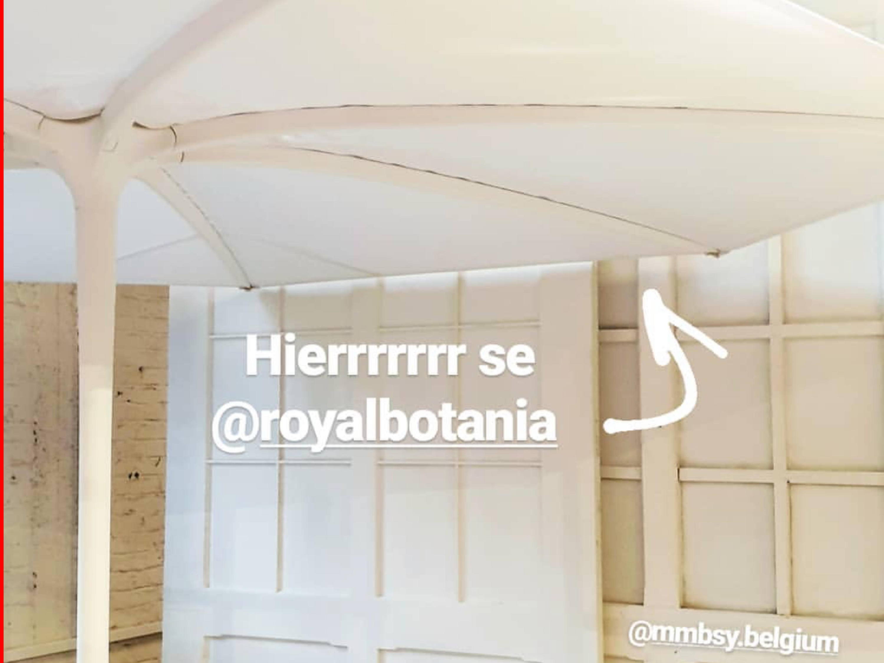 Royal Botania Clippings November 2019