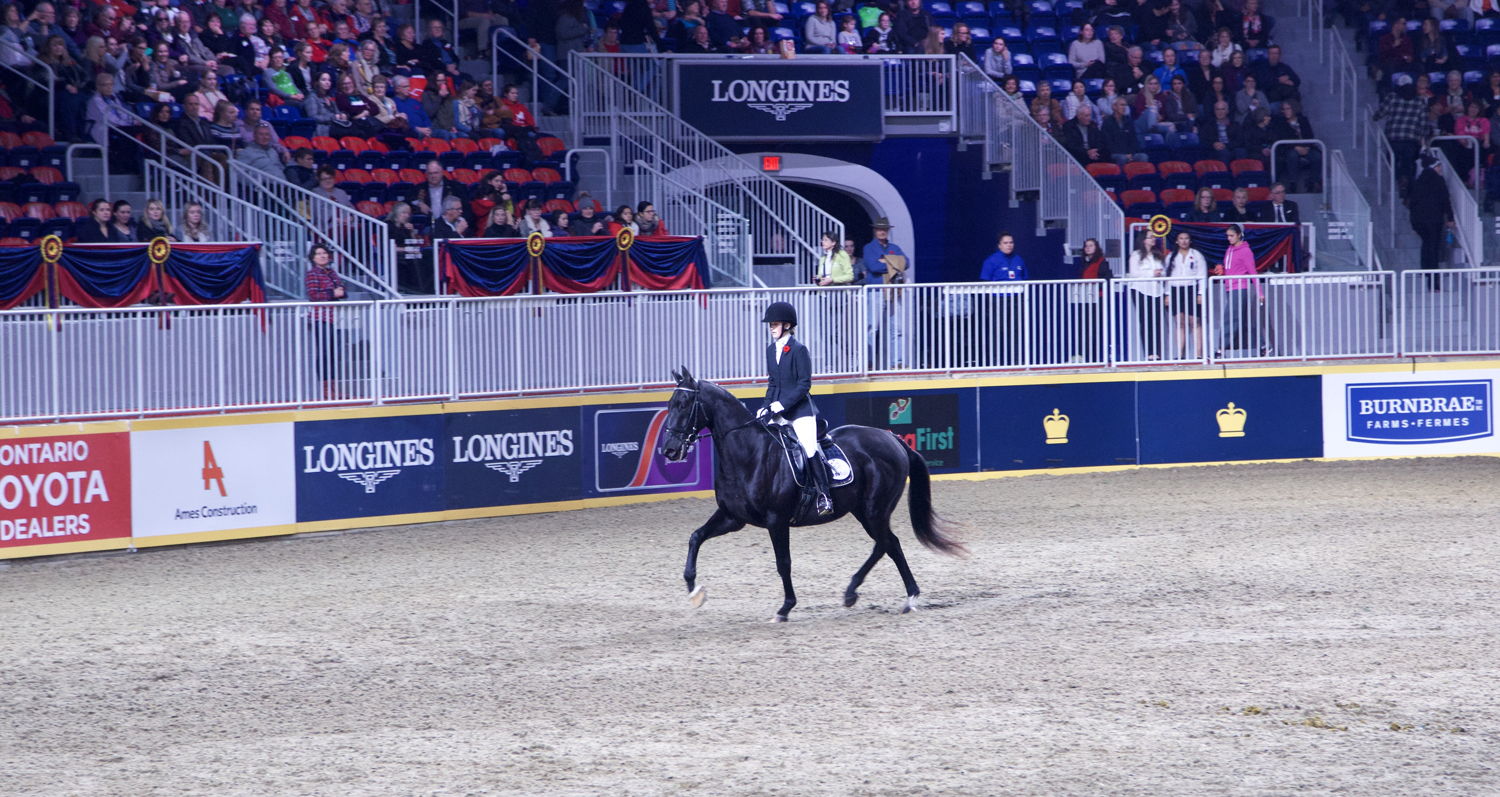 Olivia and Arthur at the Royal Winter Fair for the 250th Anniversary of Horse Racing in Canada 2017