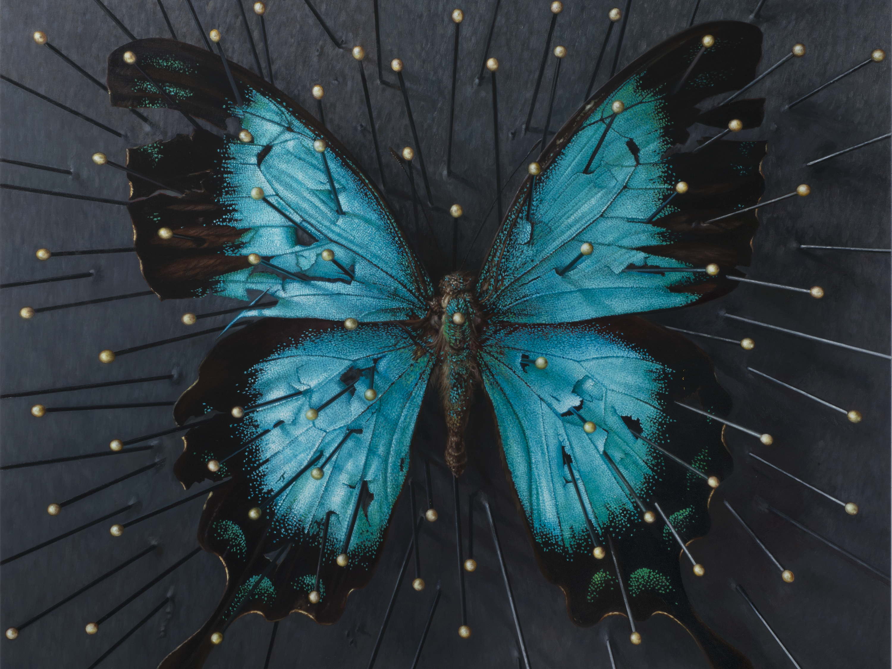Cindy Wright - Dead Poetry