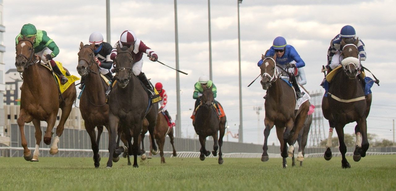 Rougir and jockey Kazushi Kimura winning the 2022 E.P. Taylor Stakes on Saturday at Woodbine (Michael Burns Photo)