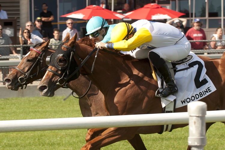 Too close to call, Lady Speightspeare (Emma-Jayne Wilson) and Crystal Cliffs (Rafael Hernandez) dead-heat to win the Nassau Stakes (G2) on Saturday at Woodbine. (Michael Burns Photo) Too close to call, Lady Speightspeare (Emma-Jayne Wilson) and Crystal Cliffs (Rafael Hernandez) dead-heat to win the Nassau Stakes (G2) on Saturday at Woodbine. (Michael Burns Photo)