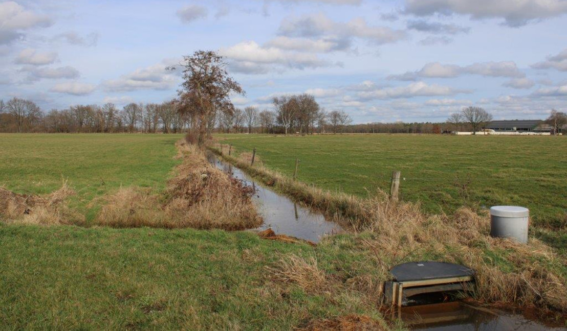 Vlaanderen investeert in Water-Land-Schap 2.0 om droogte aan te pakken