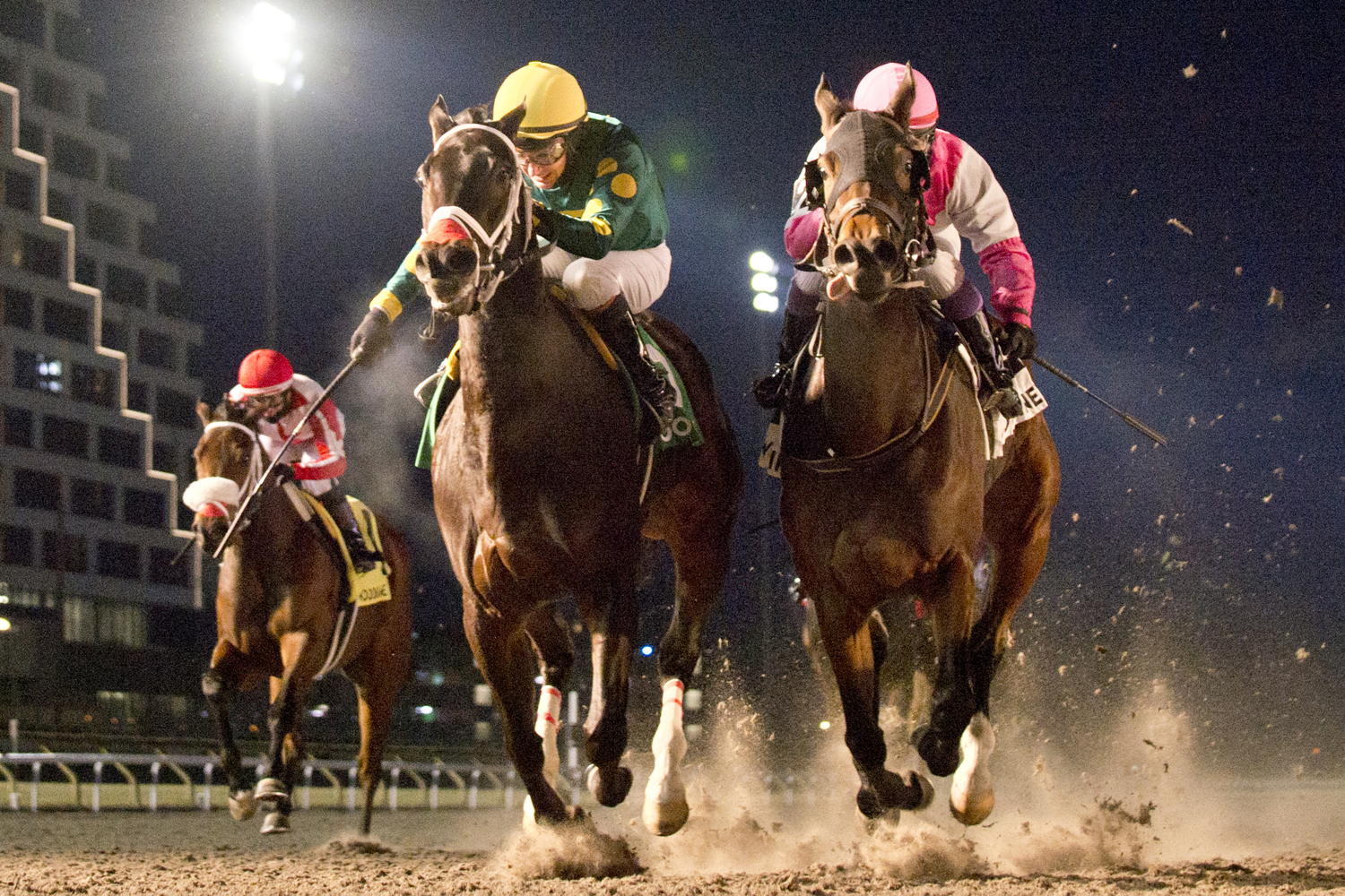 Fashionably Fab and jockey David Moran winning the La Prevoyante Stakes on December 14, 2024 at Woodbine (Michael Burns Photo)