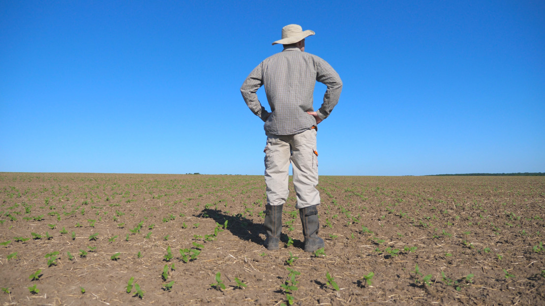 KBC Assurances, AgriVer et OFH unissent leurs compétences dans le domaine de l'assurance climat.