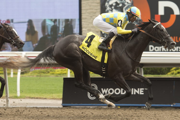 Mark Casse trainee, Summertime Magic, under Patrick Husbands, edges out 2021 Sovereign Award winner Mrs. Barbara, to win the $100,000 Ruling Angel Stakes at Woodbine on May 21st, 2022. (Michael Burns Photo) Mark Casse trainee, Summertime Magic, under Patrick Husbands, edges out 2021 Sovereign Award winner Mrs. Barbara, to win the $100,000 Ruling Angel Stakes at Woodbine on May 21st, 2022. (Michael Burns Photo)