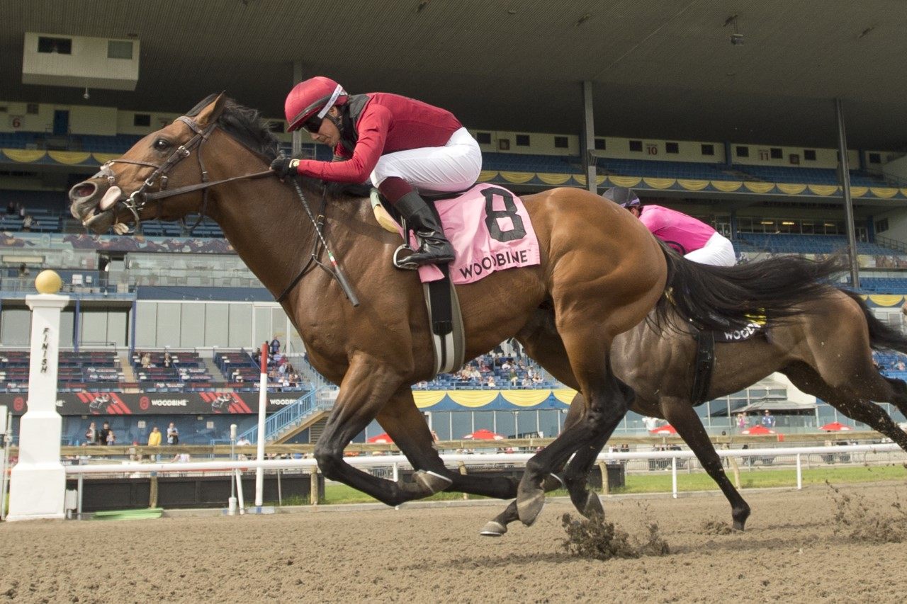 Anarchist and jockey Luis Contreras winning the Jacques Cartier Stakes on May 14, 2023 at Woodbine (Michael Burns Photo)
