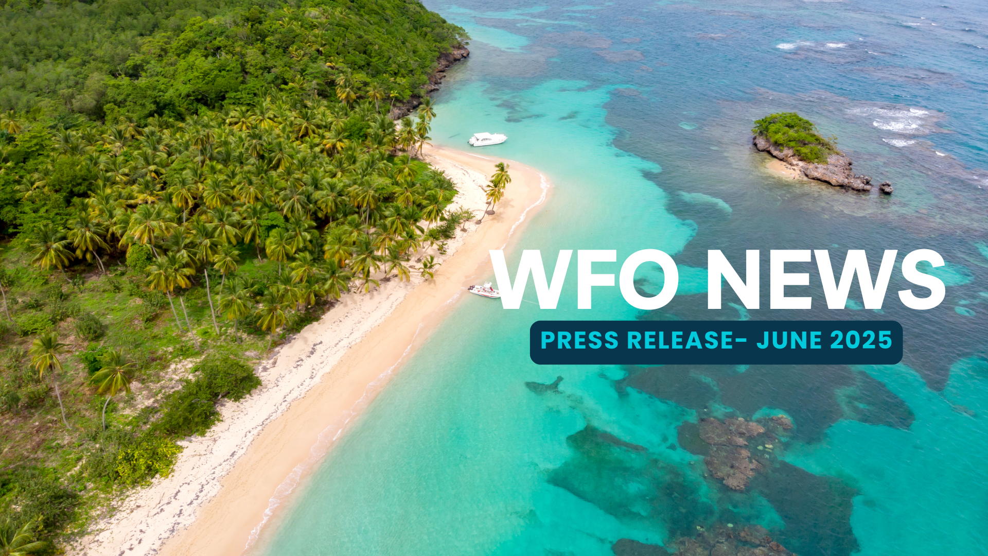 Waste Free Oceans Celebrates Ocean Week with Cleanups and Community Education from Europe to the Caribbean