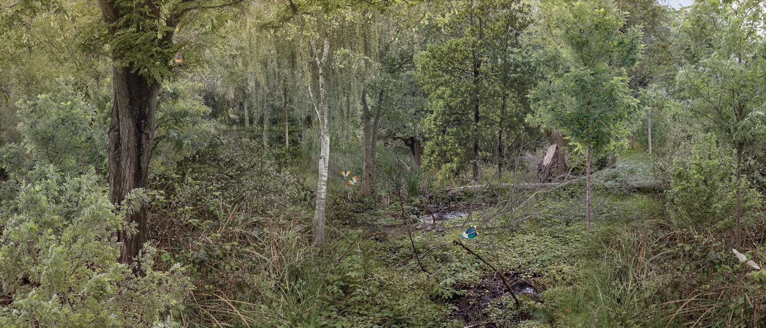 Wolvenberg huidige toestand © CLUSTER landschap & stedenbouw