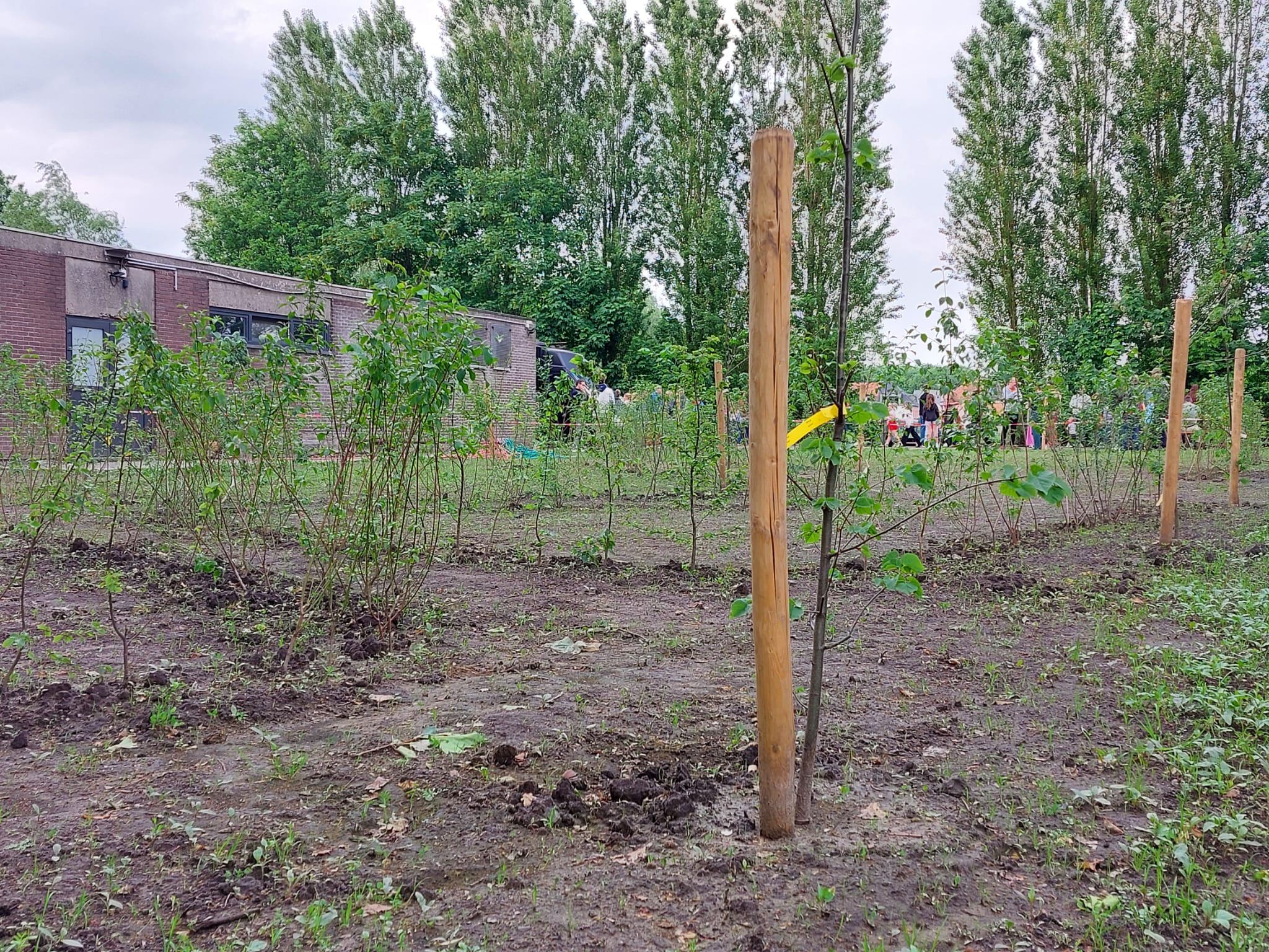 Groene speelstek vervangt verharde parking bij Scouts 28 Zaoeja