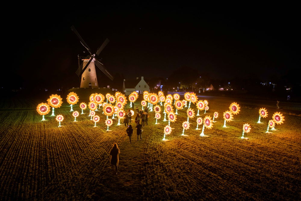 GLOW Zonnebloemen Nuenen 