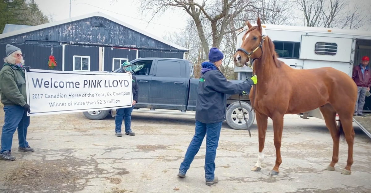 Pink Lloyd arriving at LongRun following his illustrious career. (LongRun)