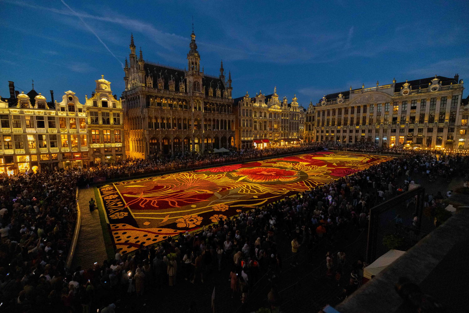 ©FlowerCarpet_FabianDeBacker