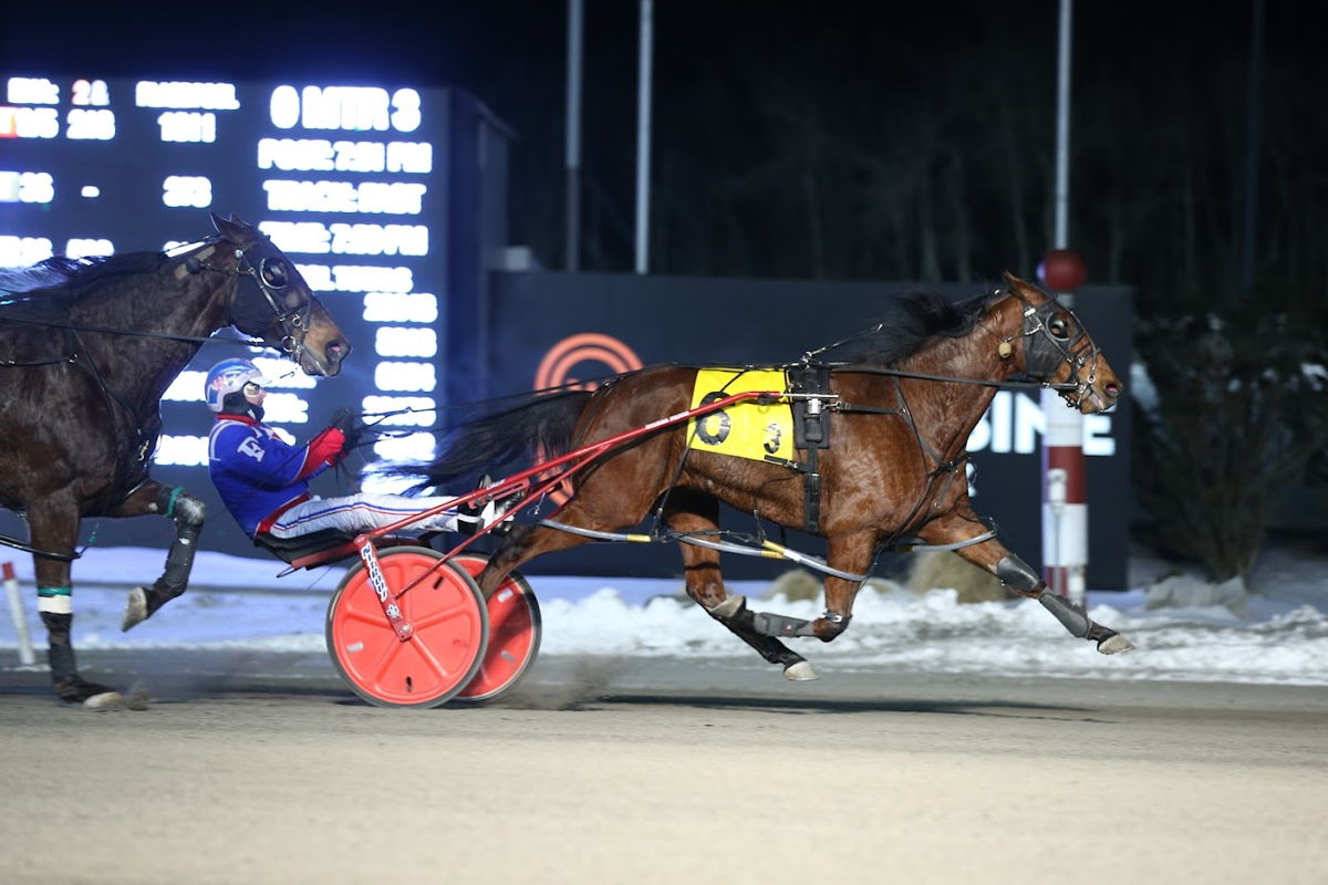 Uhtred, trained by Carmen Auciello, winning the Preferred on February 26, 2022 at Woodbine Mohawk Park. (New Image Media)