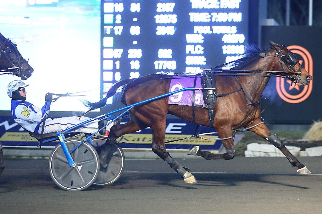 Locatelli and James MacDonald winning the New Holland Trotting Series Final. (New Image Media)