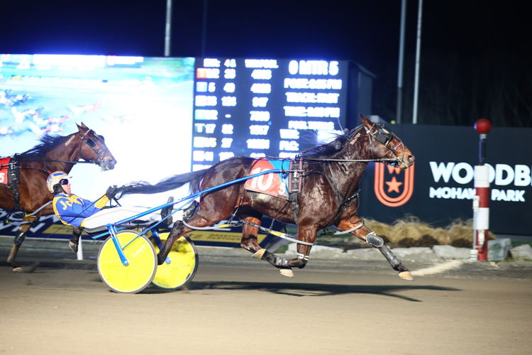 Highlandbeachlover and driver Jonathan Drury winning the fifth race on January 21, 2023 at Woodbine Mohawk Park (New Image Media)