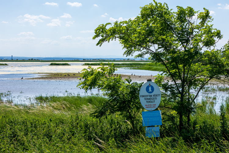 Sopron_Fertőhanság Nemzeti Park_19
