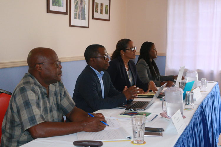 From left to right: Programme Officer of Agriculture George Alcee  (OECS), Regional Statistician Maxime Luciene (FAO), Research and Survey Statistician Sinovia Moonie (OECS), Statistical Services Officer Sherma Beroo  (OECS) 