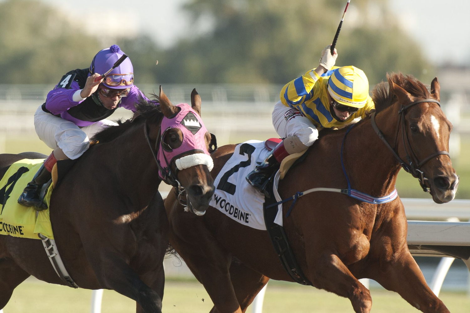Pink Lloyd and jockey Rafael Hernandez winning the Ontario Jockey Club Stakes on November 7, 2021 at Woodbine (Michael Burns Photo)