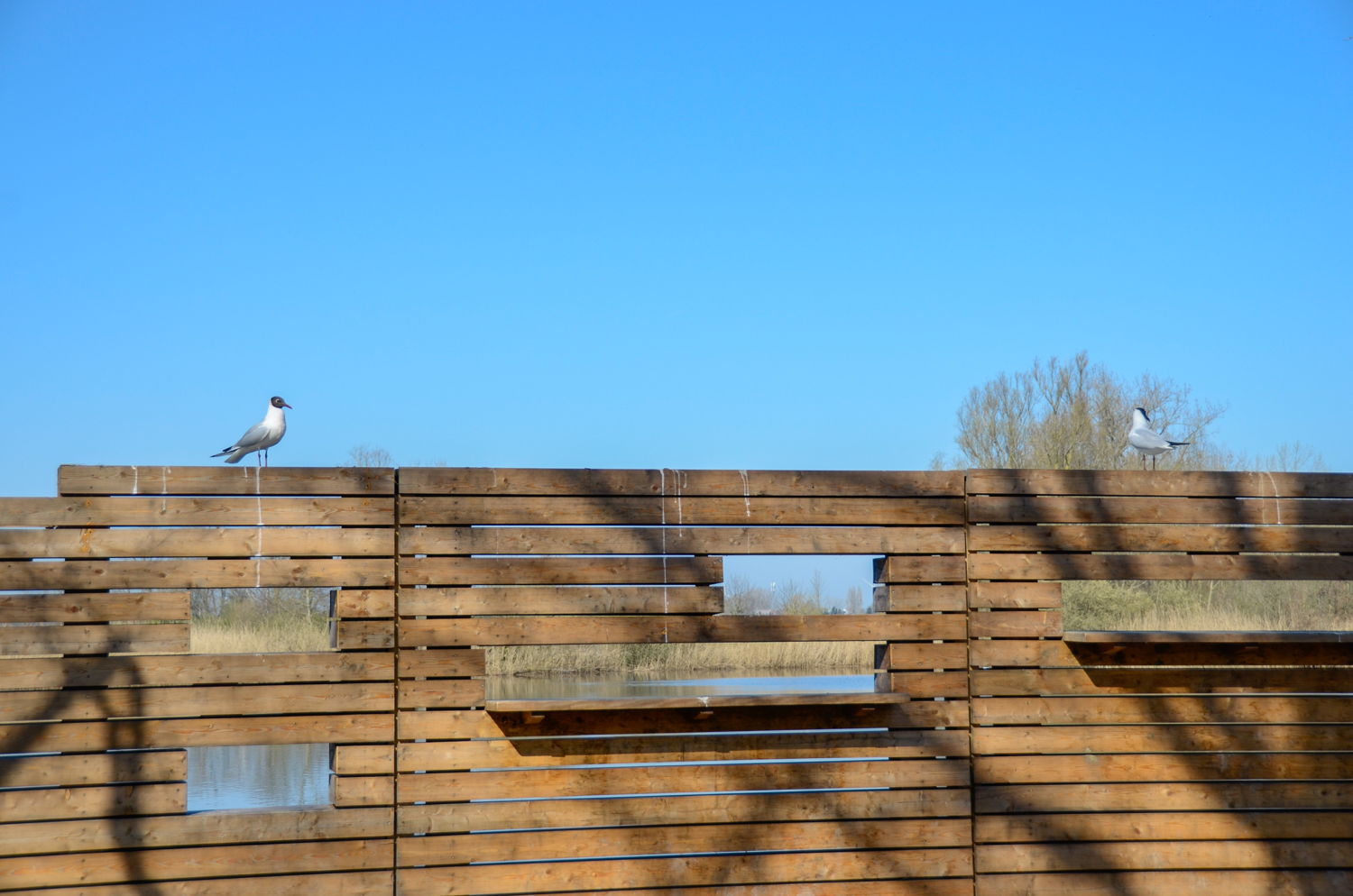 Nieuwe vogelkijkwand met zicht op het Donkmeer