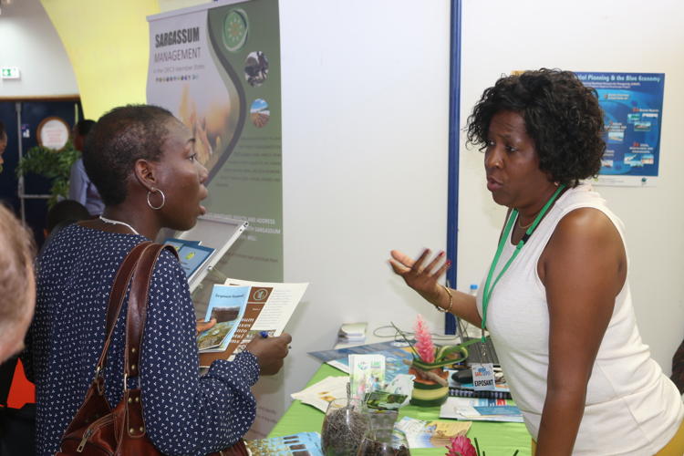 1st International Conference on Sargassum in Guadeloupe (Day 2). 
OECS Programme Officer for Environment Josette Edwards at the booth of the OECS at SARG'EXPO. 
