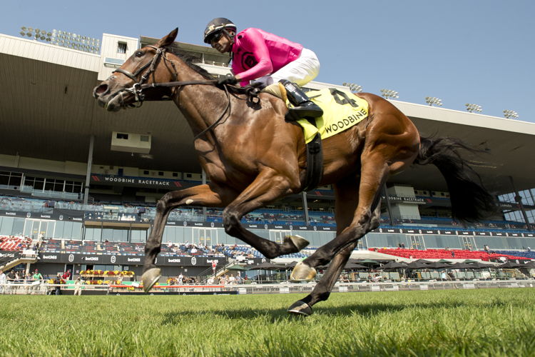 Souper Supreme and jockey Patrick Husbands winning the Victorian Queen on September 15, 2024 at Woodbine (Michael Burns Photo)