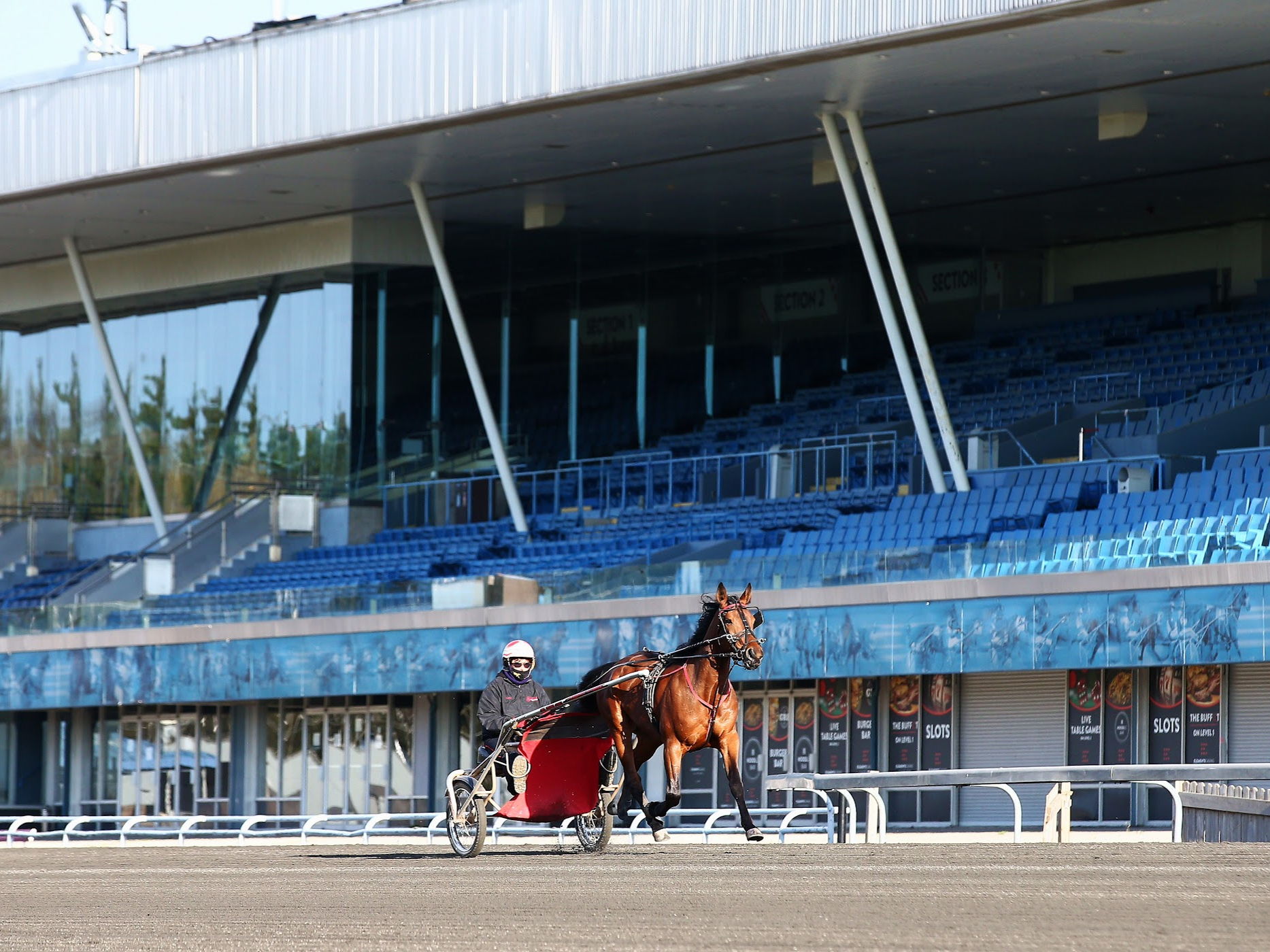 Qualifiers added for Monday at Woodbine Mohawk Park