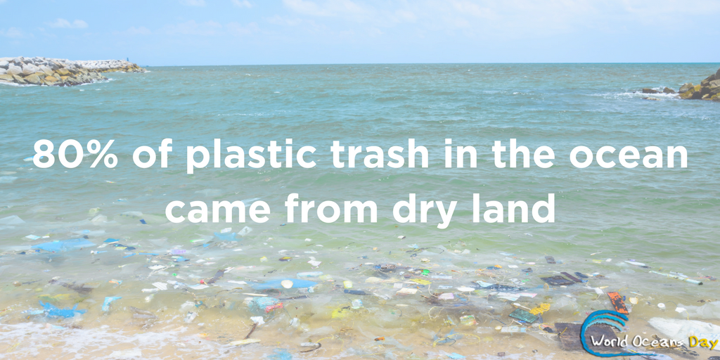 World Oceans Day graphic