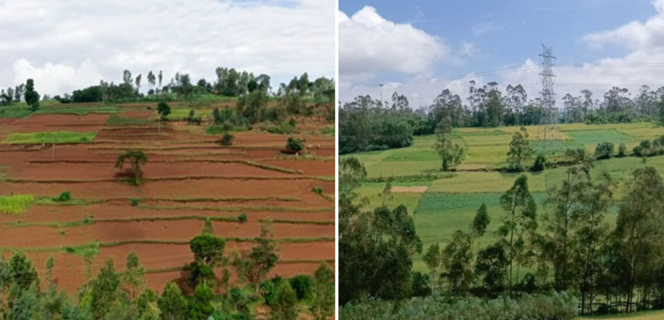 Before and after images of Doyogena District, Ethiopia.