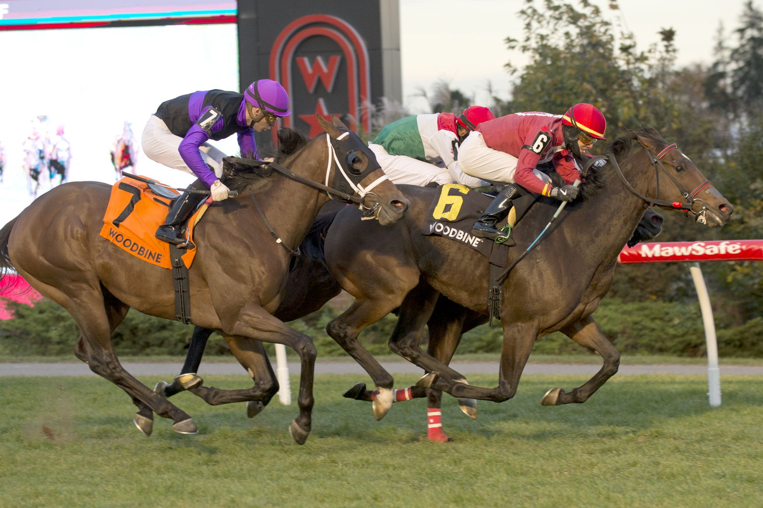 Hunt Master and jockey Jeffrey Alderson winning the Overskate stakes on October 27, 2024 at Woodbine (Michael Burns Photo)