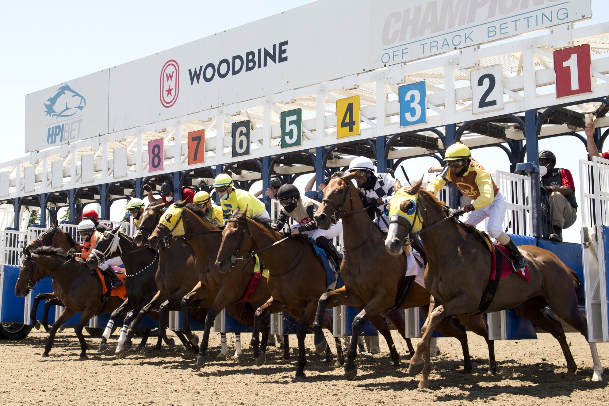 Horses break from the gate at Woodbine. (Michael Burns photo)