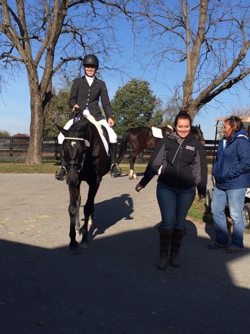 Eddie at the Thoroughbred Makeover 